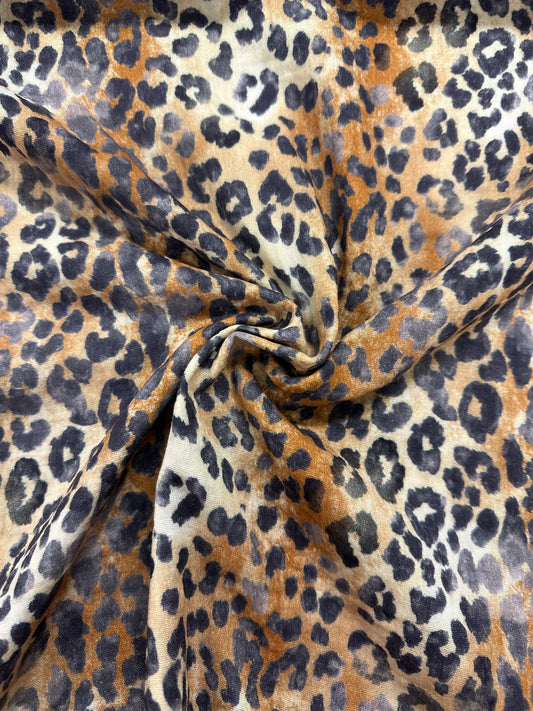 Double gauze, Savannin kaunotar