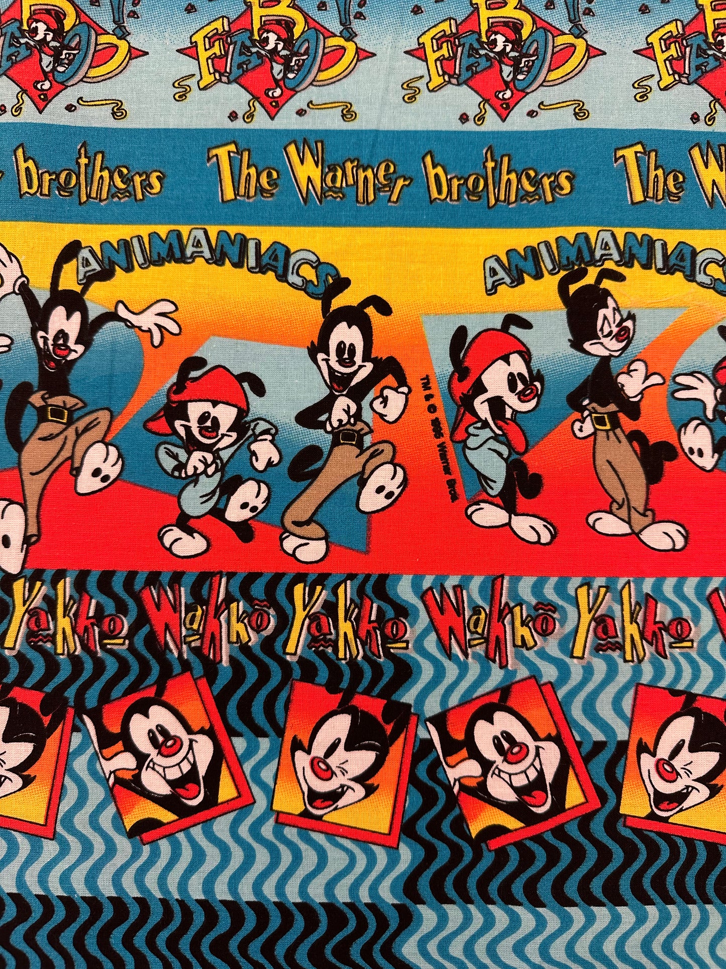 Yakko and Wakko, Kappakangas