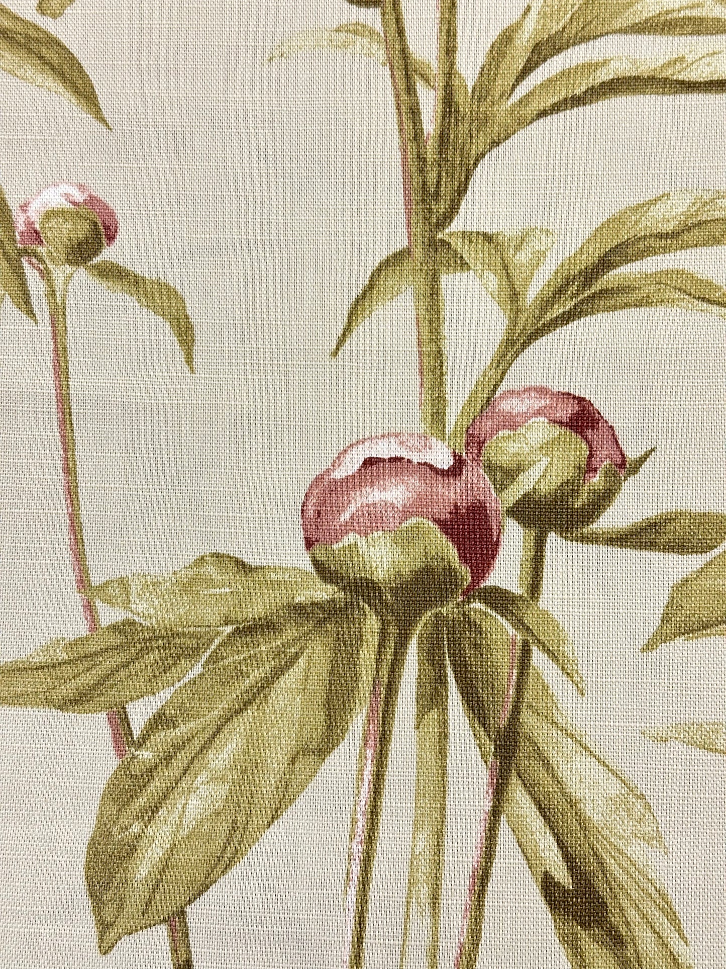 Pioni, verho- ja sisustuskangas