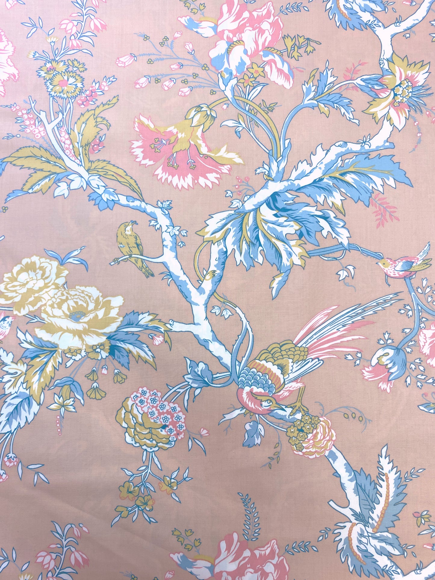 Les Maya Chinz, puuvillasekoite