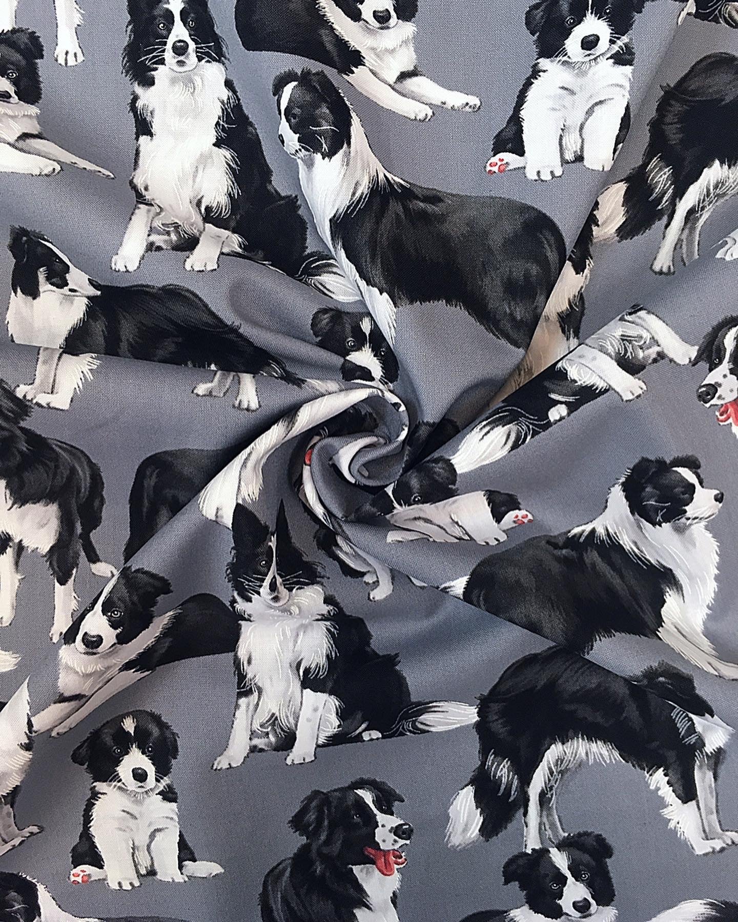 Bordercolliet, puuvilla