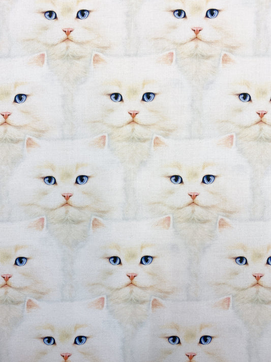 Valkoiset kissat, puuvilla