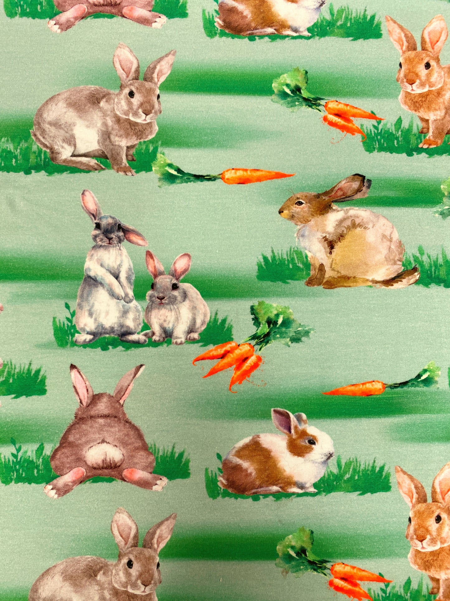 Porkkanapuput, puuvillatrikoo