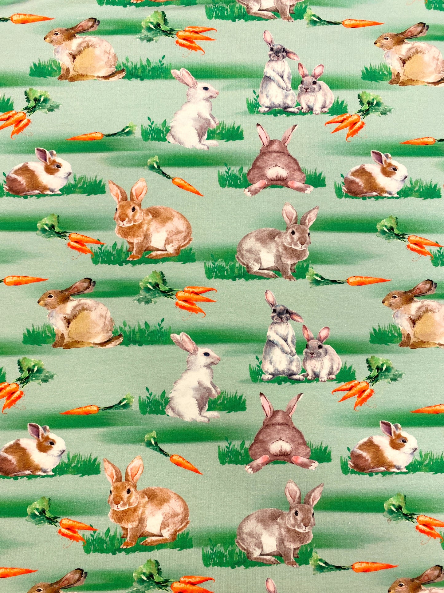 Porkkanapuput, puuvillatrikoo