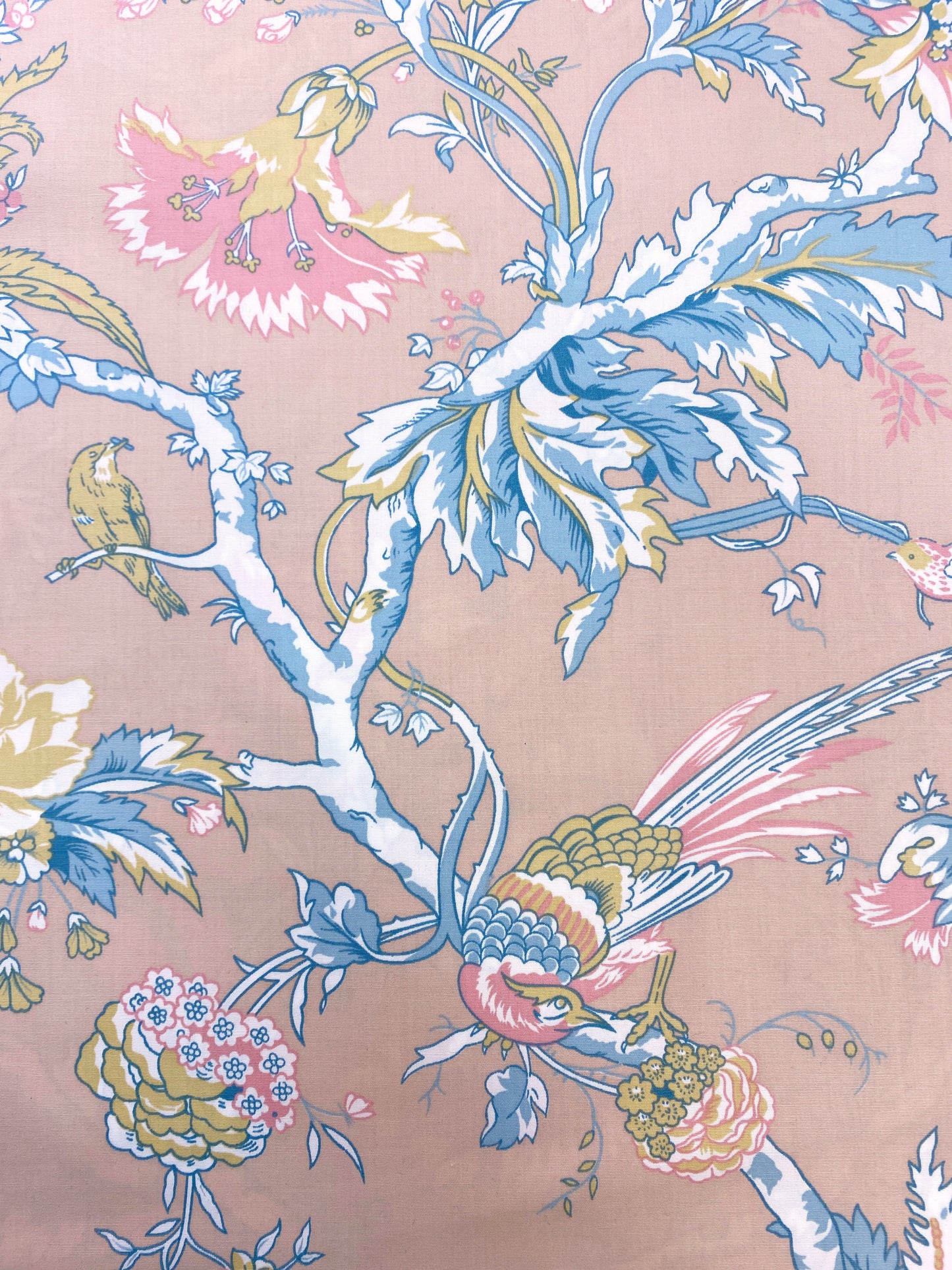 Les Maya Chinz, puuvillasekoite