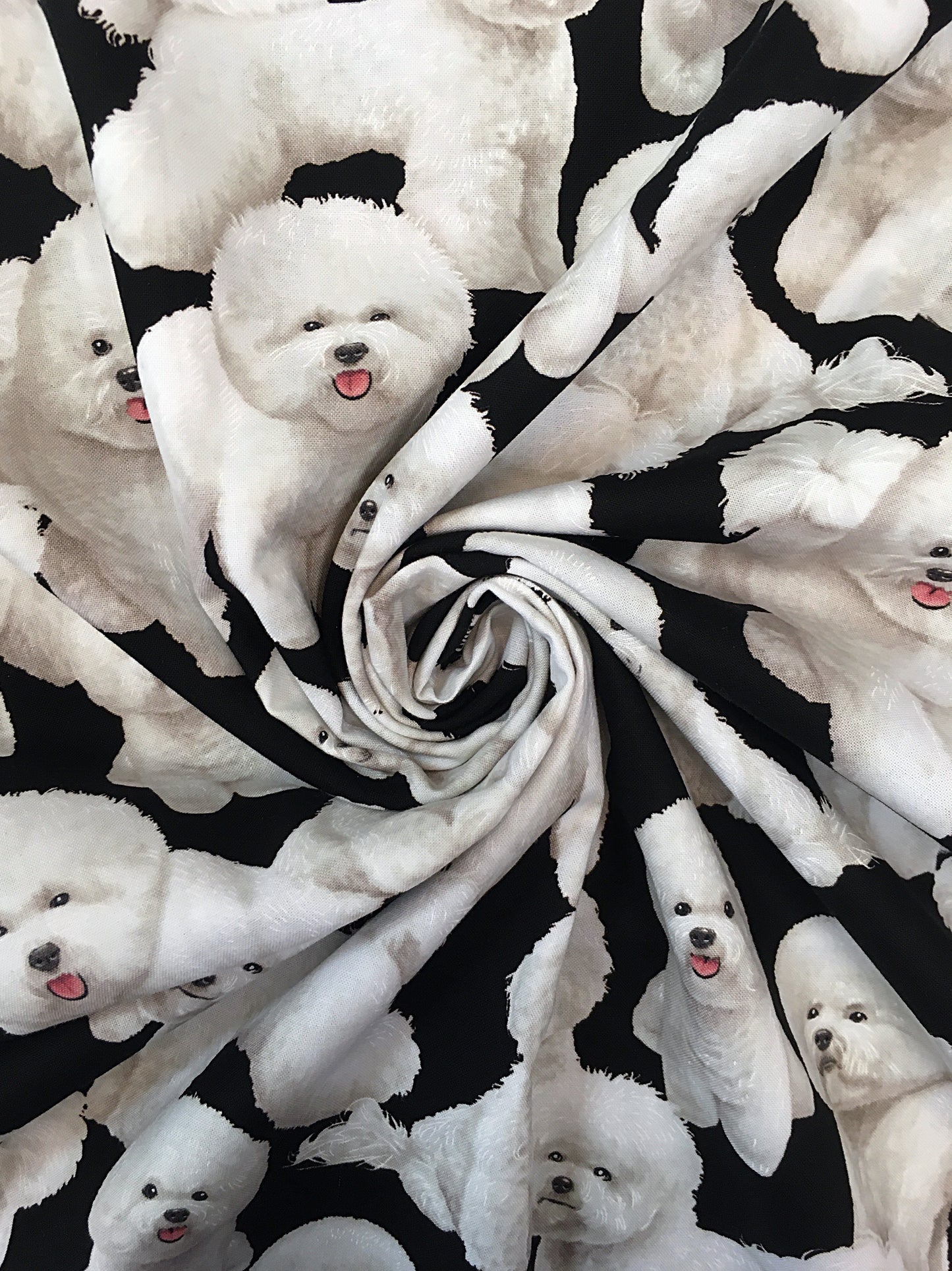 Bichon friset, puuvilla