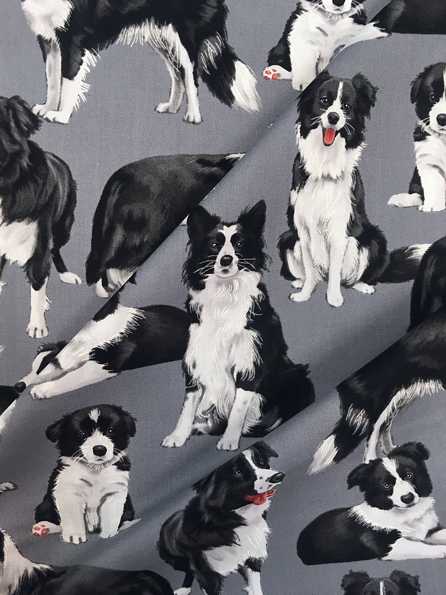 Bordercolliet, puuvilla