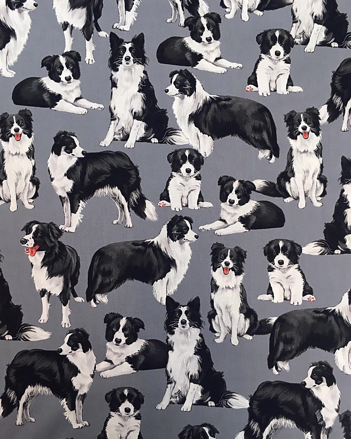 Bordercolliet, puuvilla