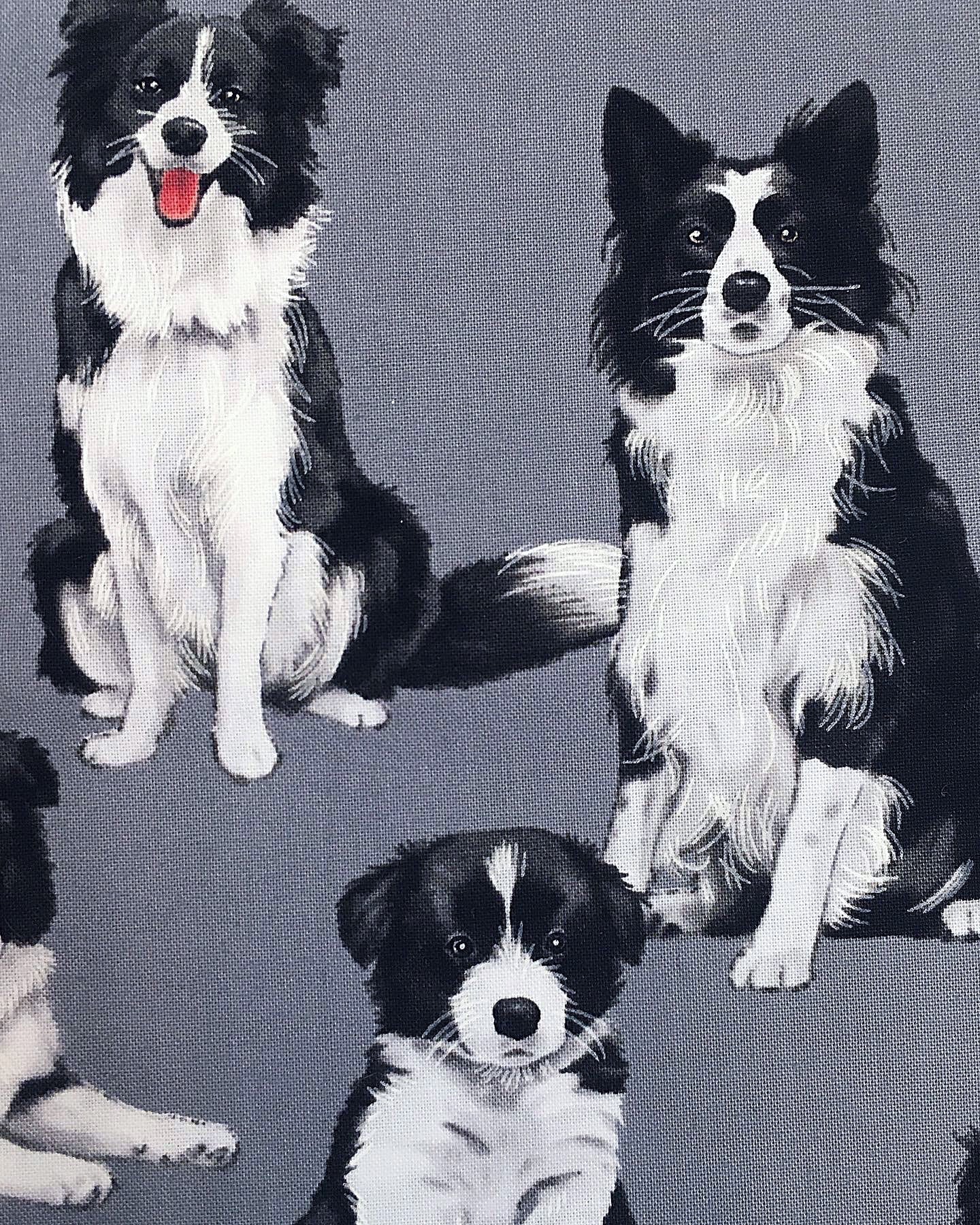 Bordercolliet, puuvilla