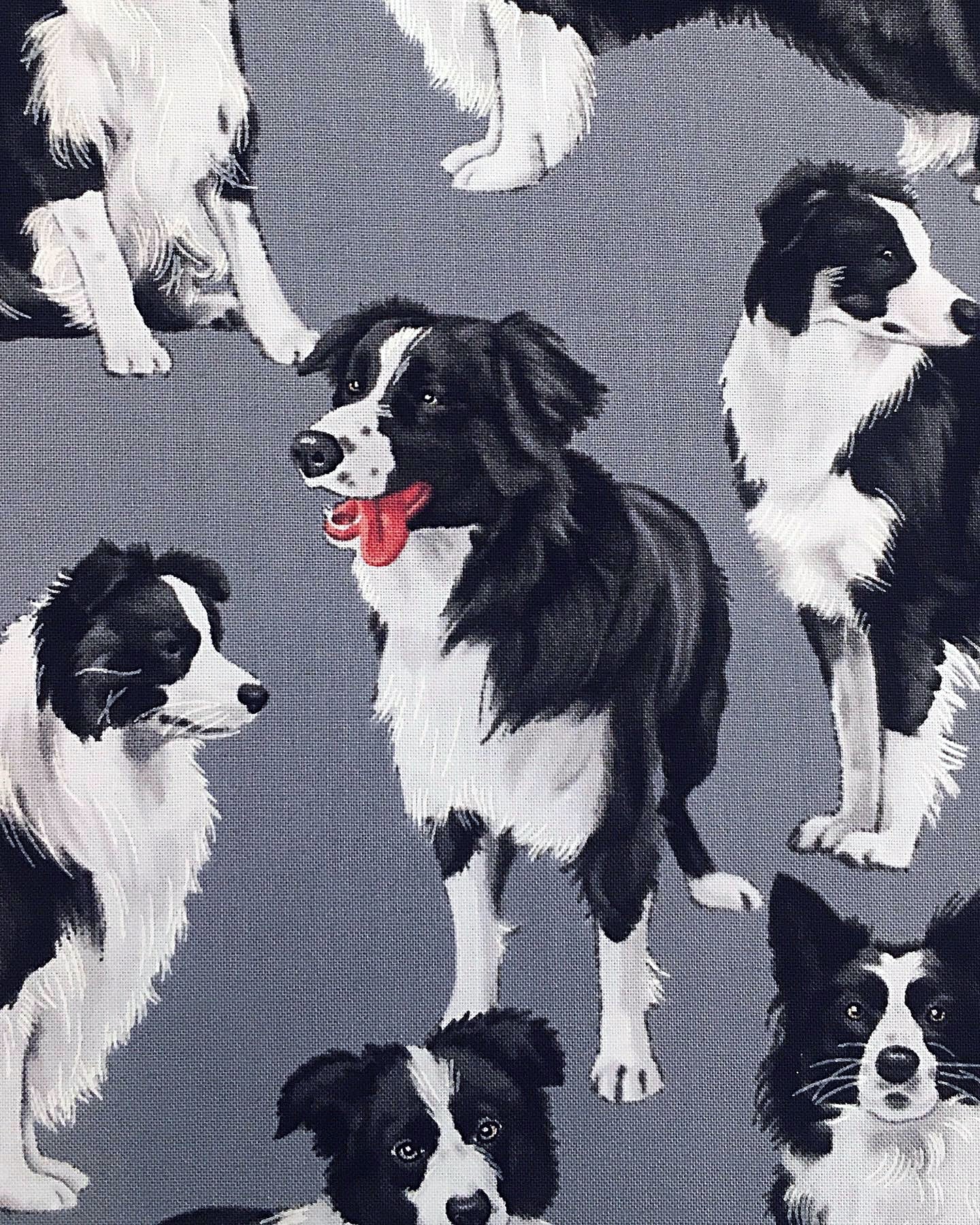 Bordercolliet, puuvilla