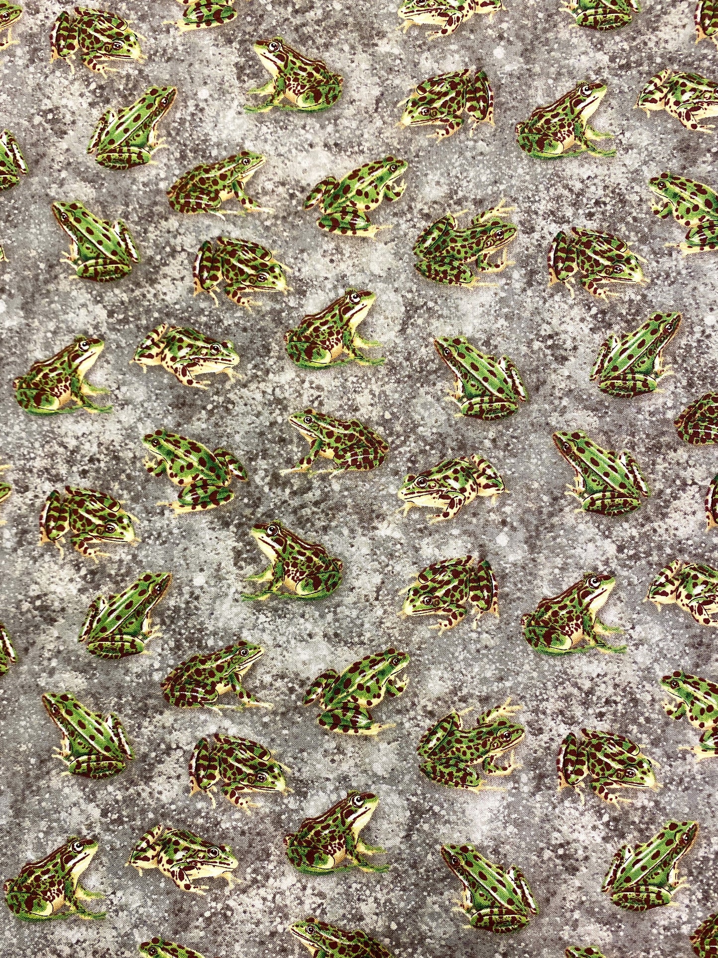 Sammakko Bill, puuvilla