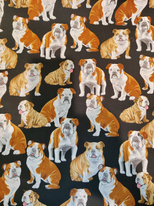 Bulldog, puuvilla