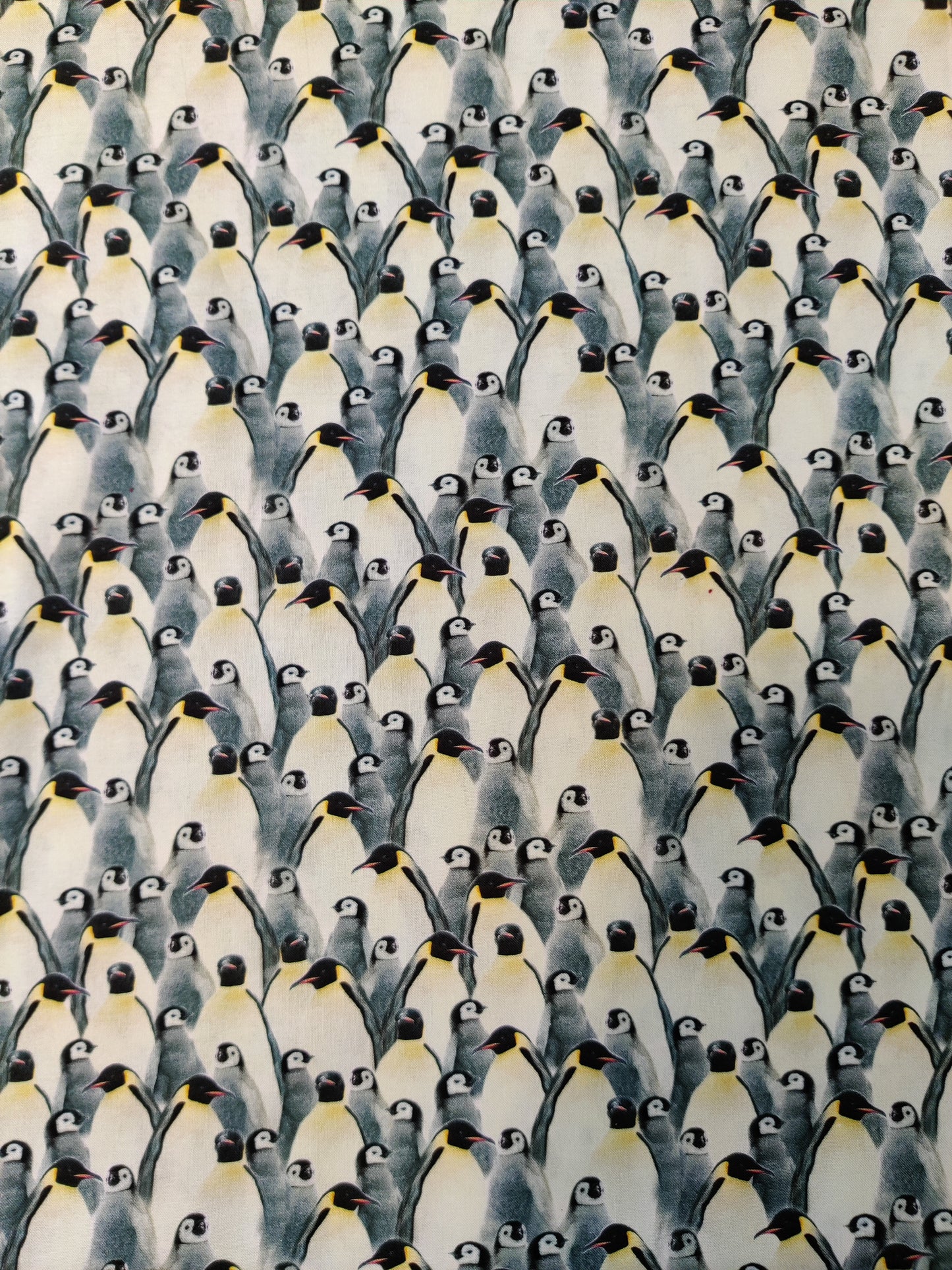Pingviinit, puuvilla