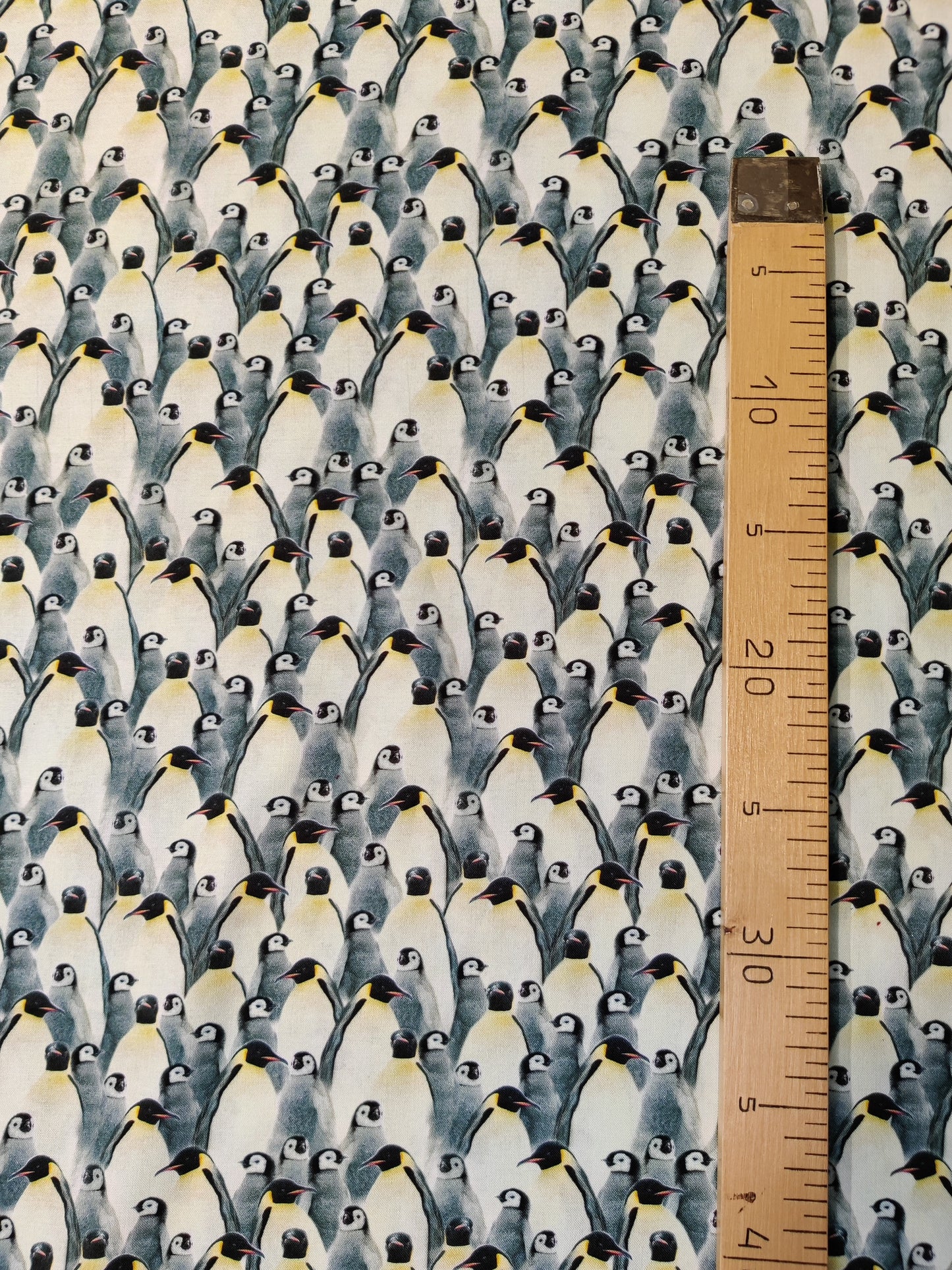 Pingviinit, puuvilla