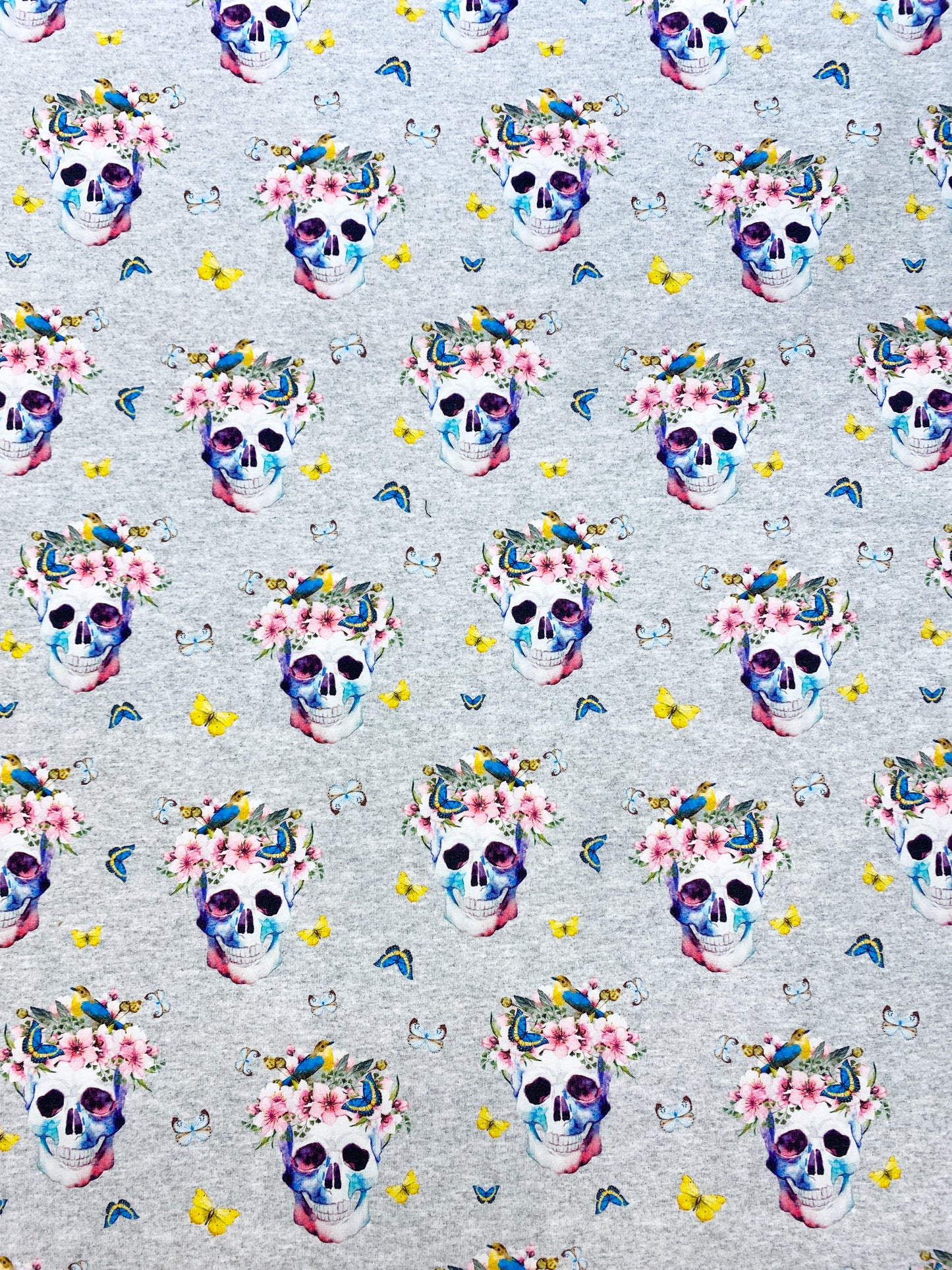 Lempeät pääkallot, joustocollege