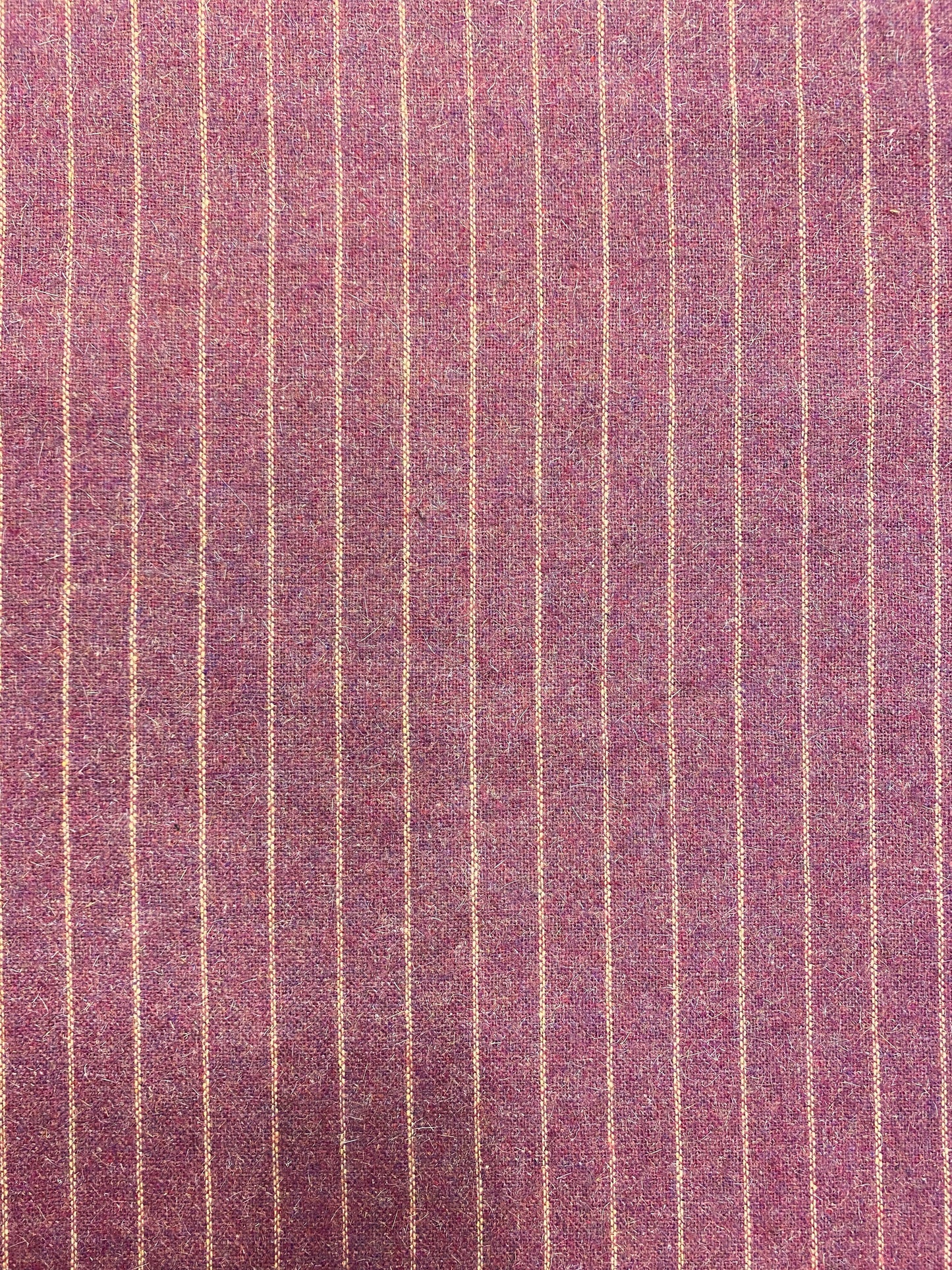 Bilberry, villakangas