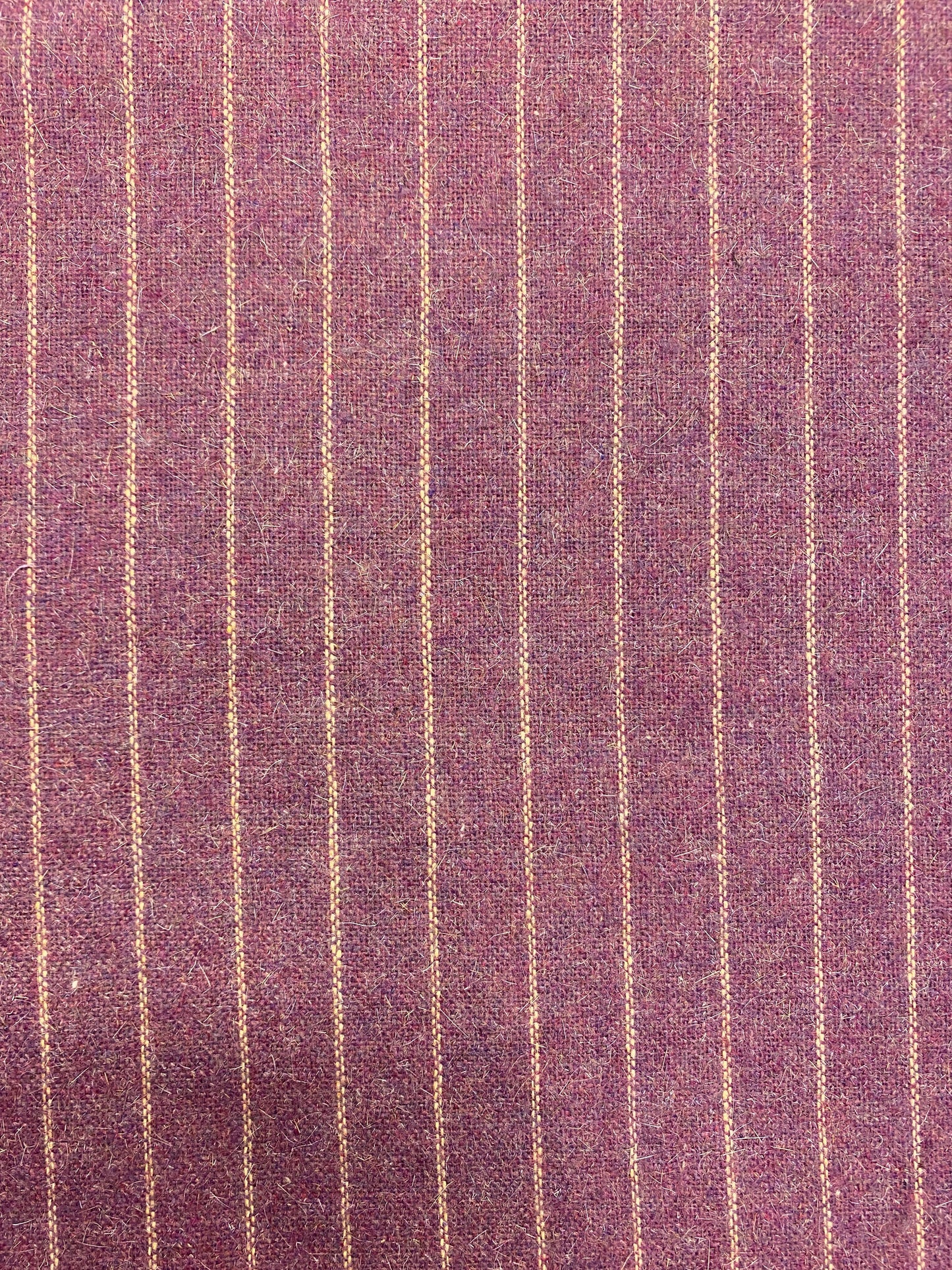 Bilberry, villakangas