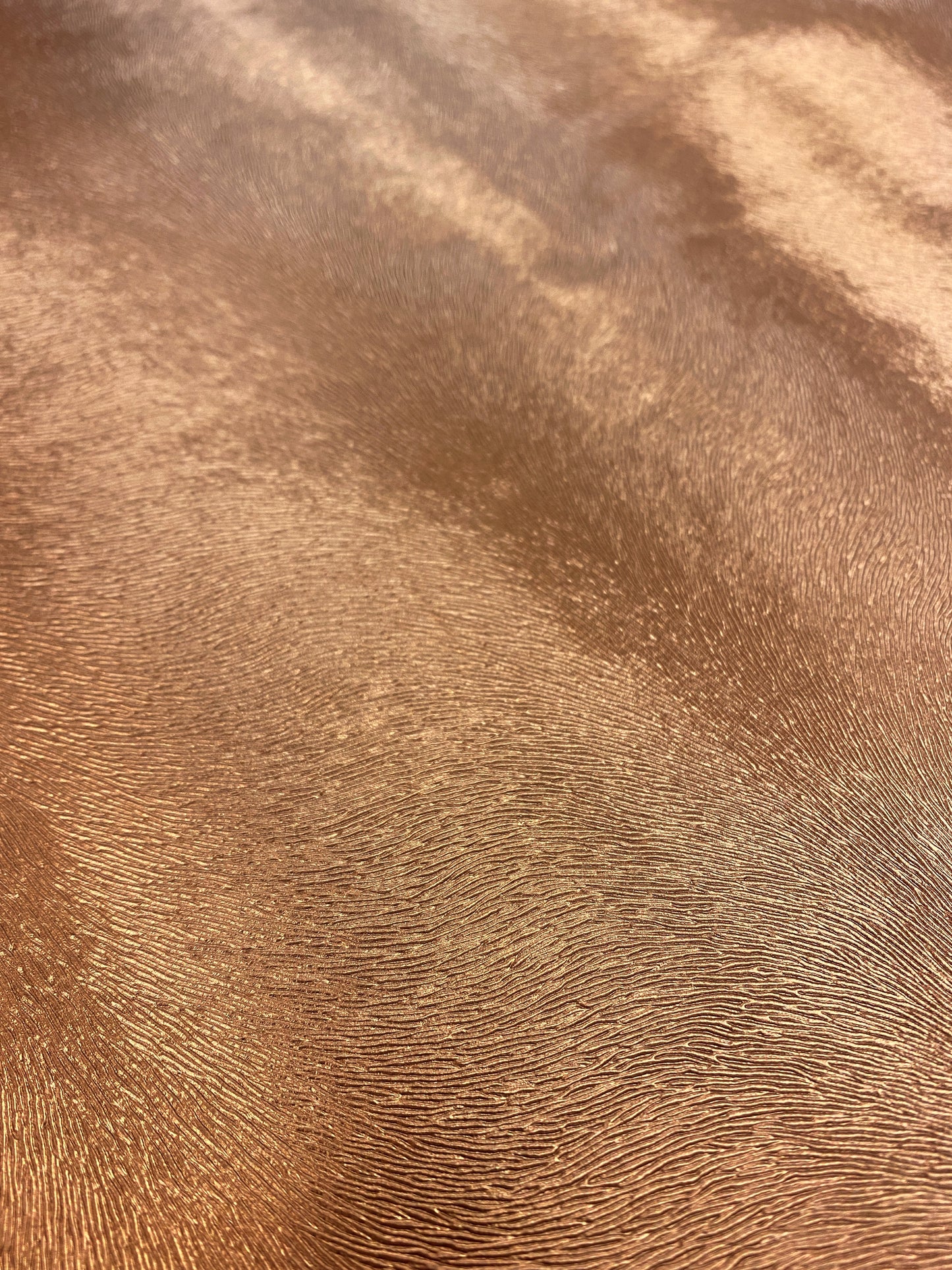 Bronze, sisustusnahka 100 000 md