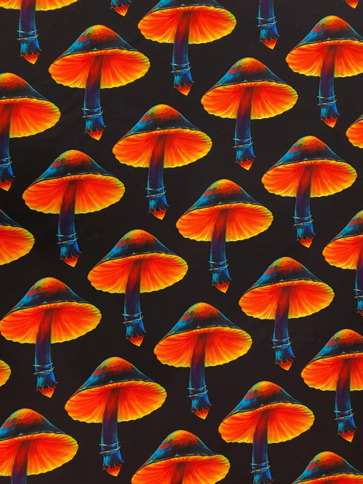 Taikasienet, puuvillatrikoo