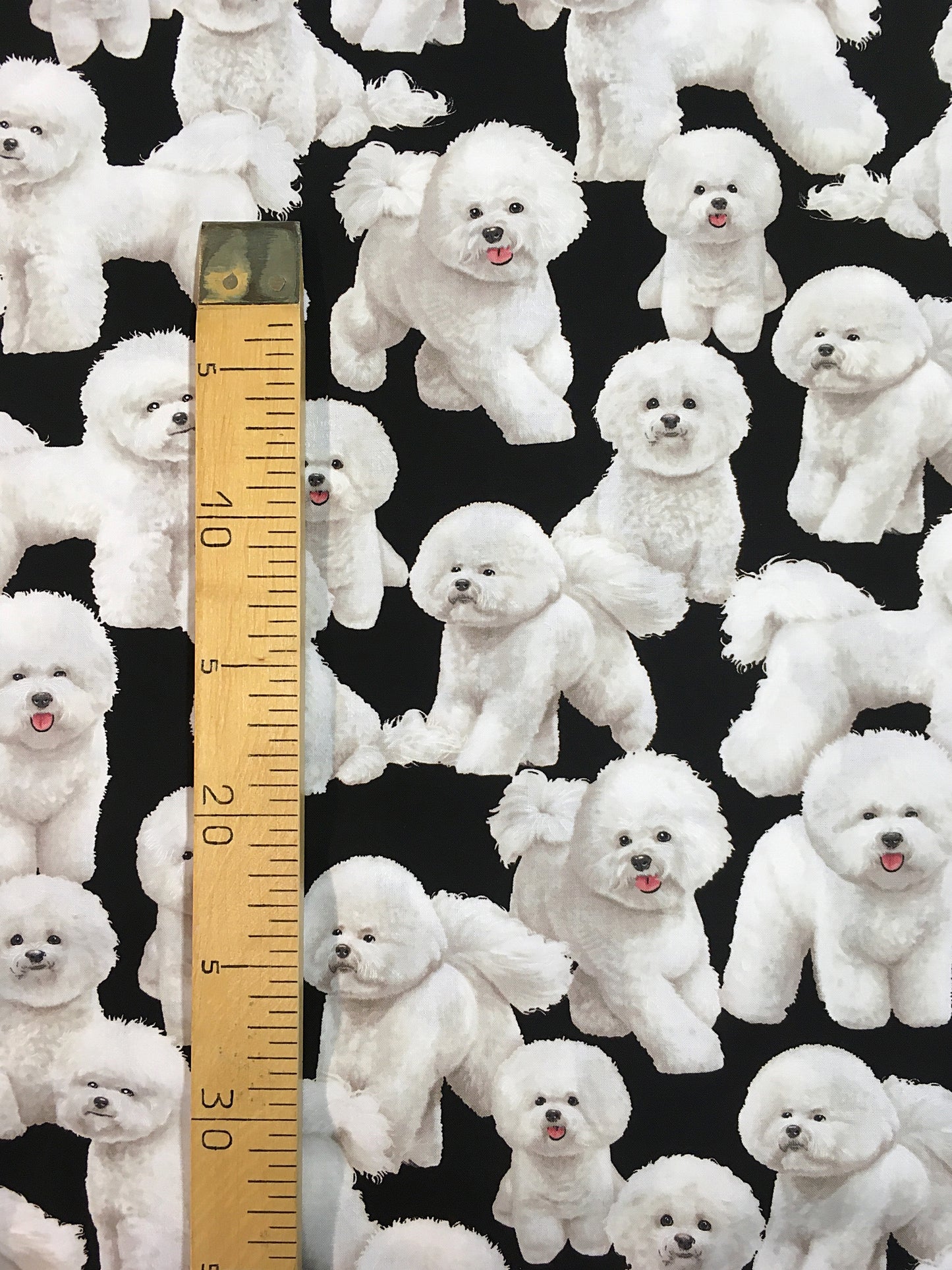 Bichon friset, puuvilla