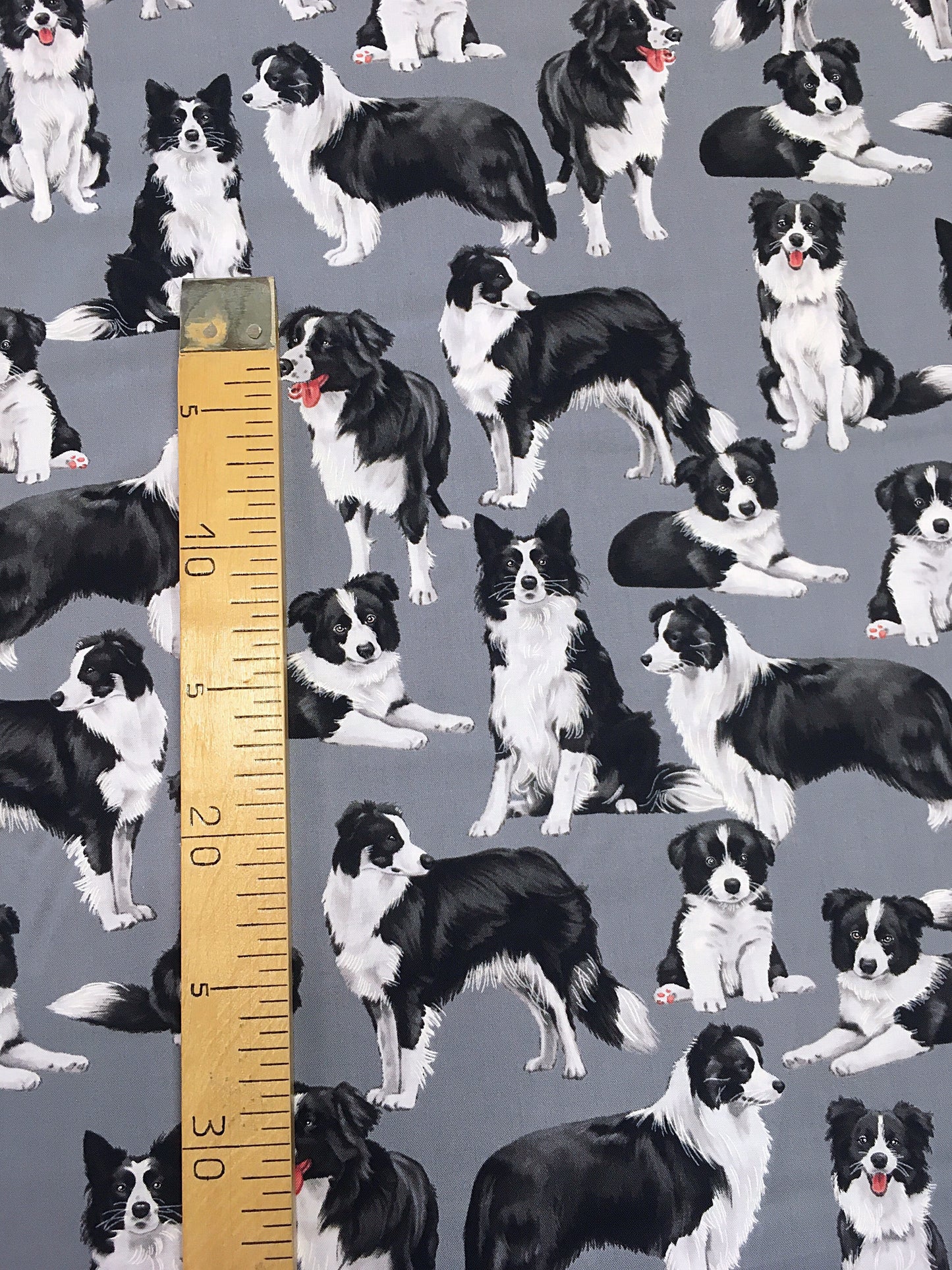 Bordercolliet, puuvilla