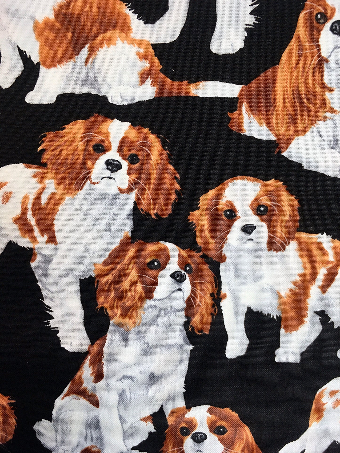 Cavalierkingcharlesinspanieli -kangas, puuvilla