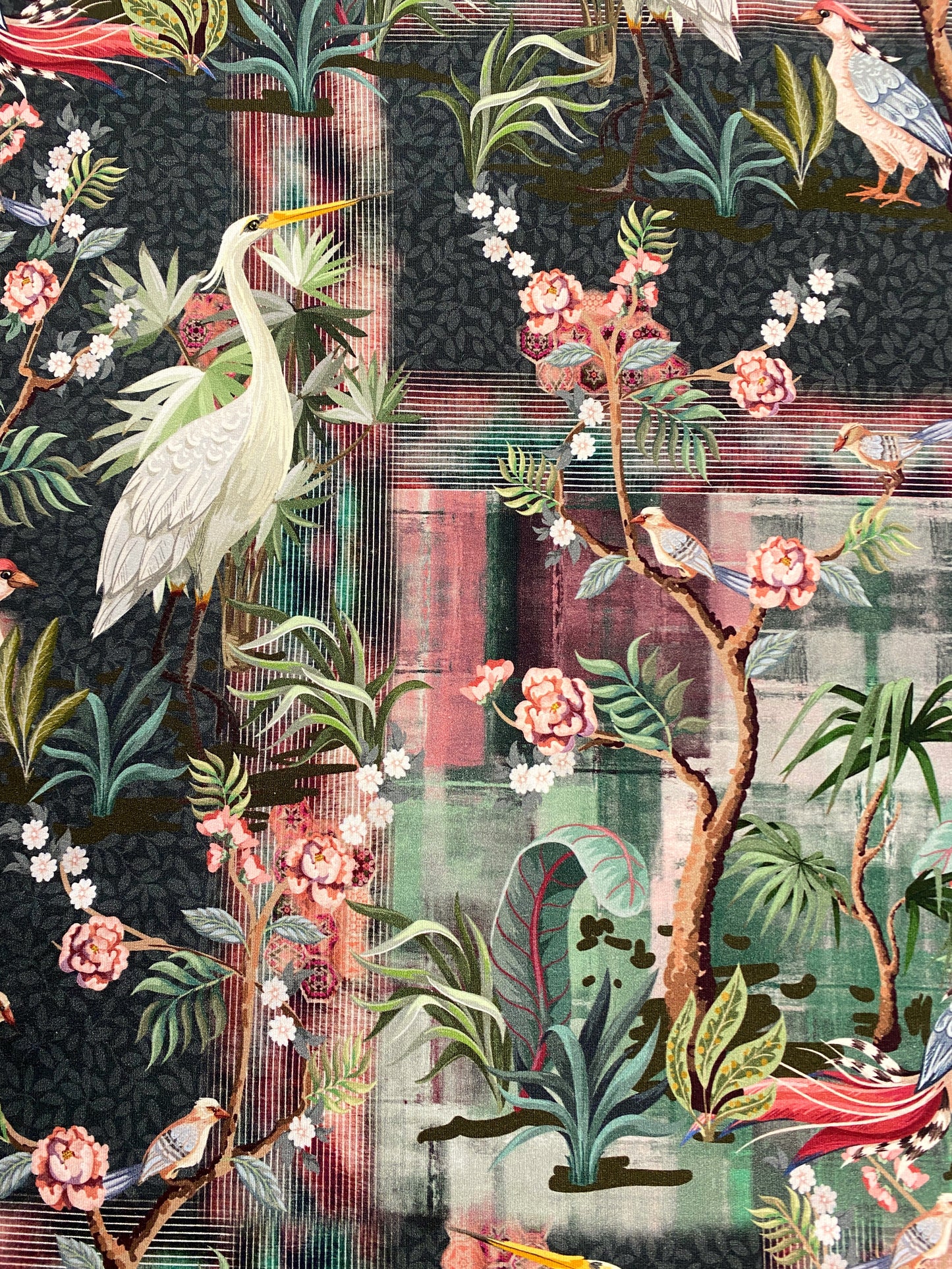 Bird of Paradise, joustocollege