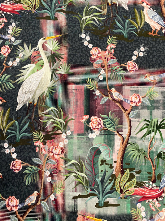 Bird of Paradise, joustocollege