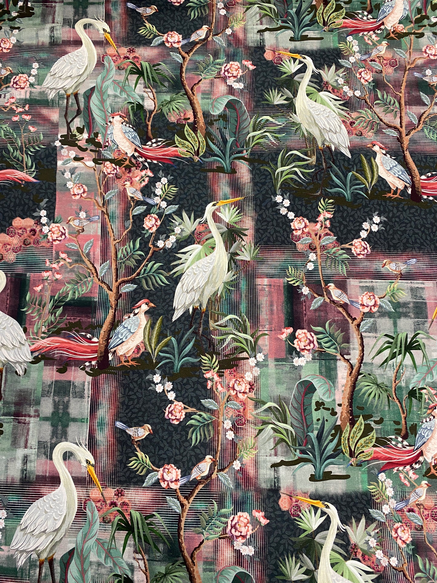 Bird of Paradise, joustocollege