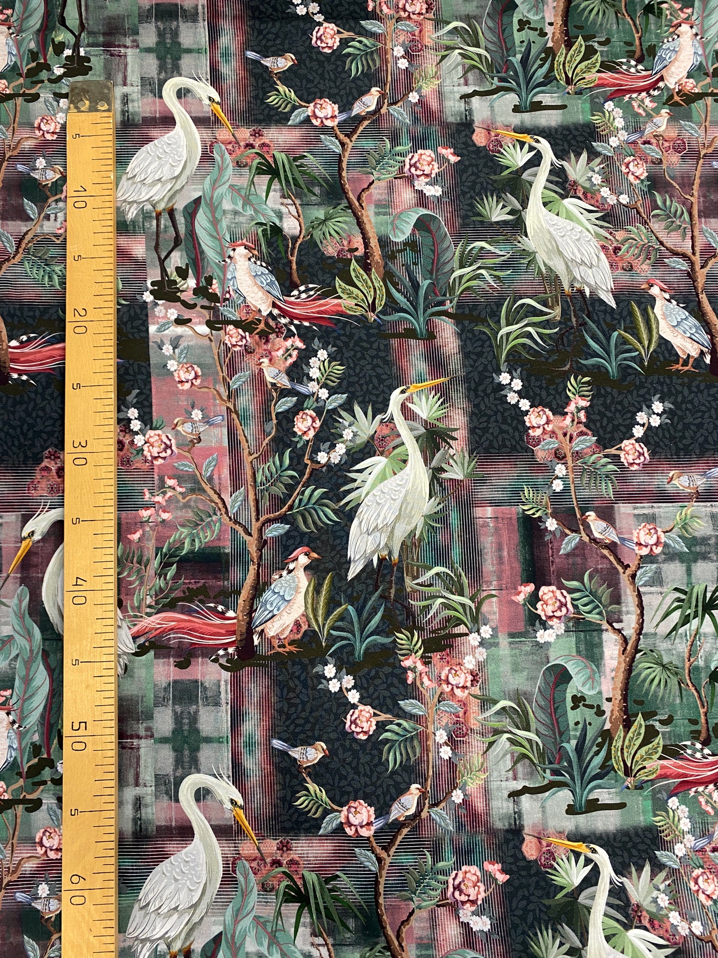 Bird of Paradise, joustocollege