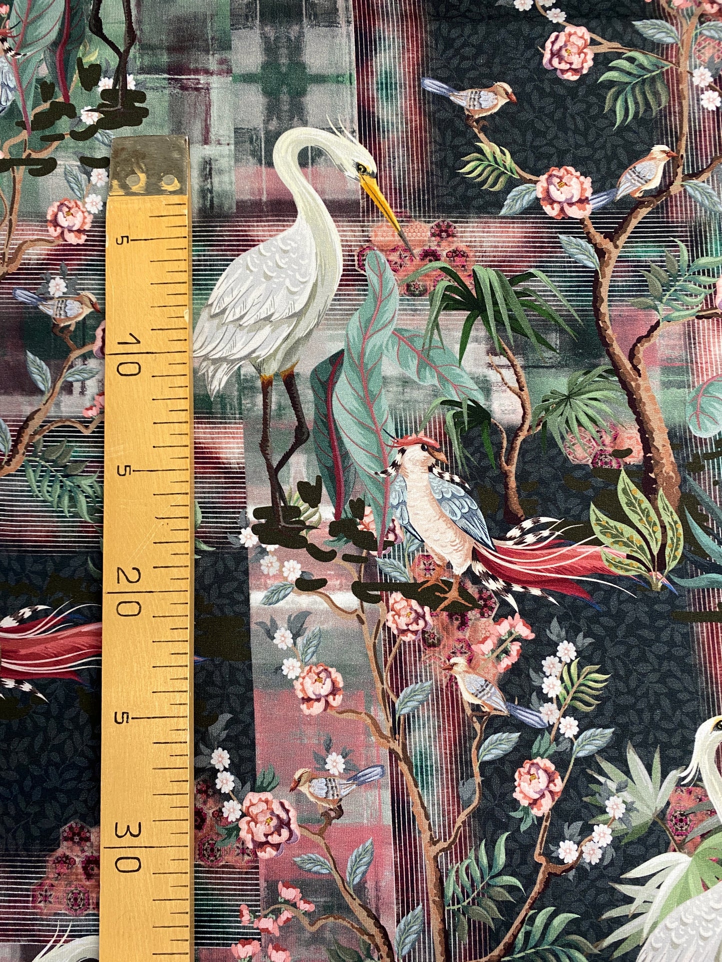 Bird of Paradise, joustocollege