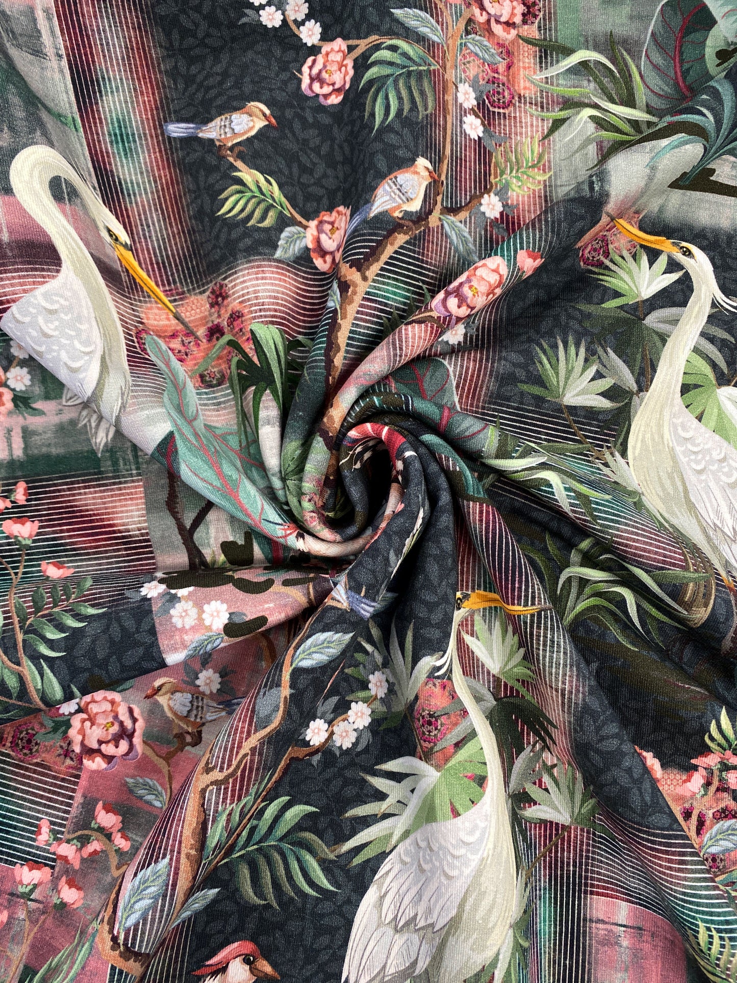 Bird of Paradise, joustocollege