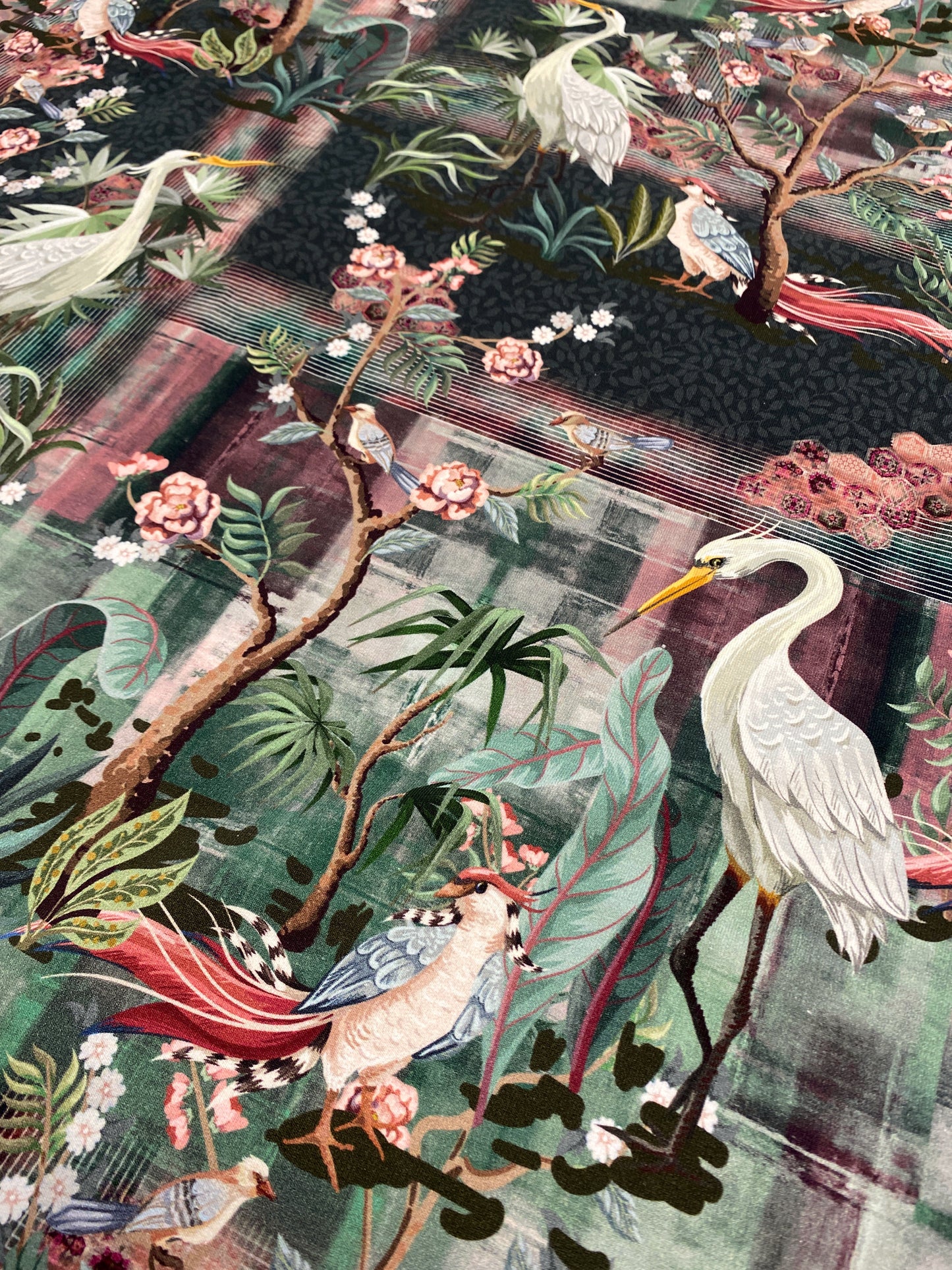 Bird of Paradise, joustocollege