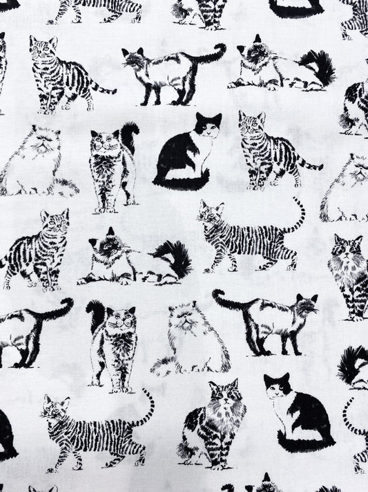 Kissakahvila, puuvilla