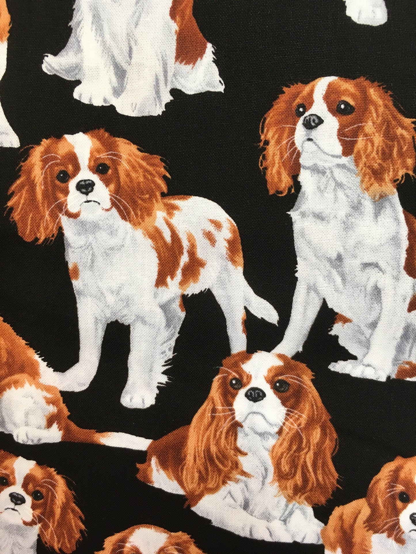 Cavalierkingcharlesinspanieli -kangas, puuvilla
