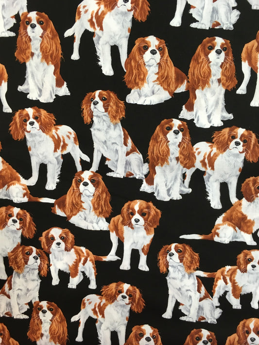 Cavalierkingcharlesinspanieli -kangas, puuvilla