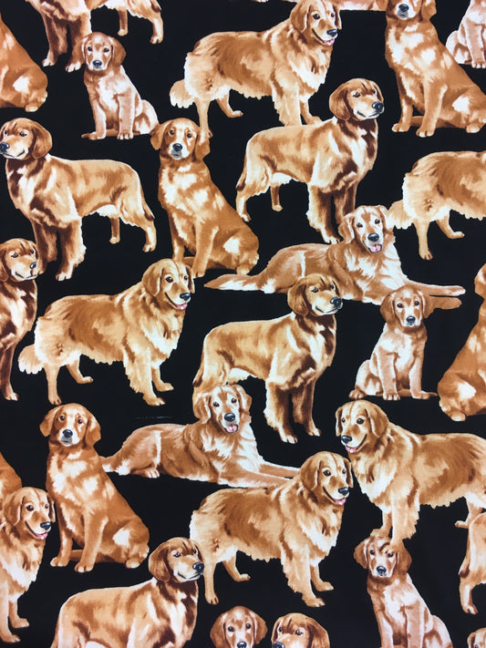 Kultaiset noutajat, puuvilla