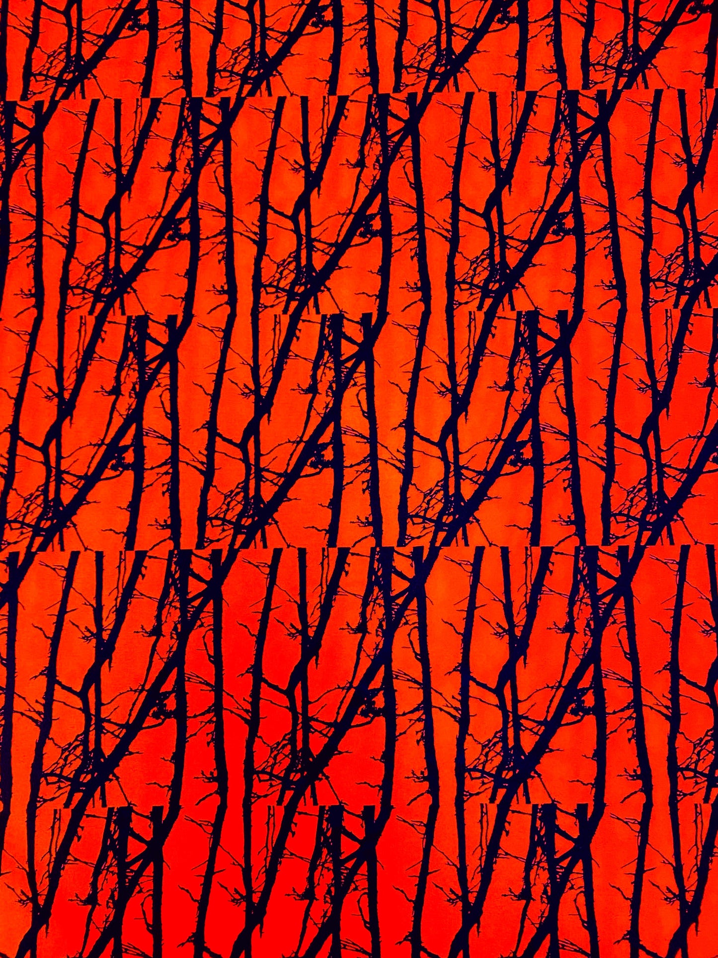 Forest, oranssi, ulkoilukangas, vedenpito 5000mm