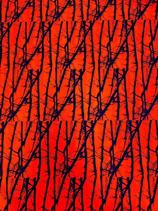 Forest, oranssi, ulkoilukangas, vedenpito 5000mm