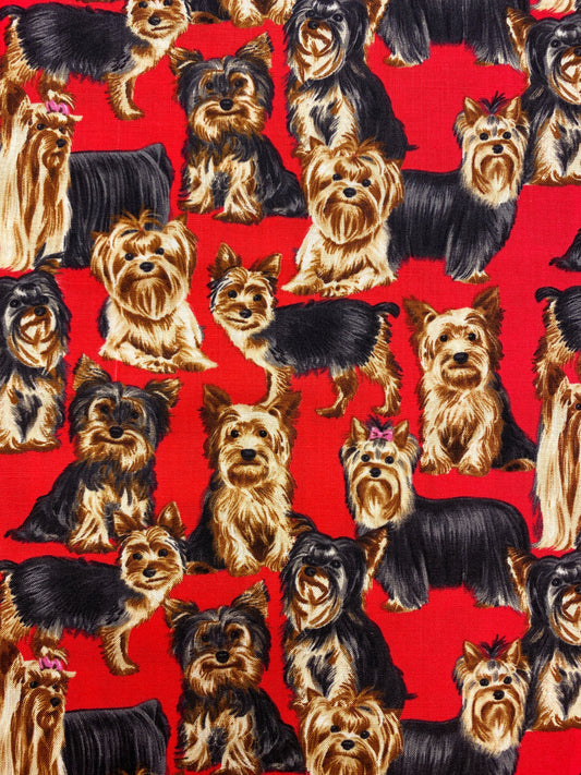 Yorkshirenterrierit, puuvilla