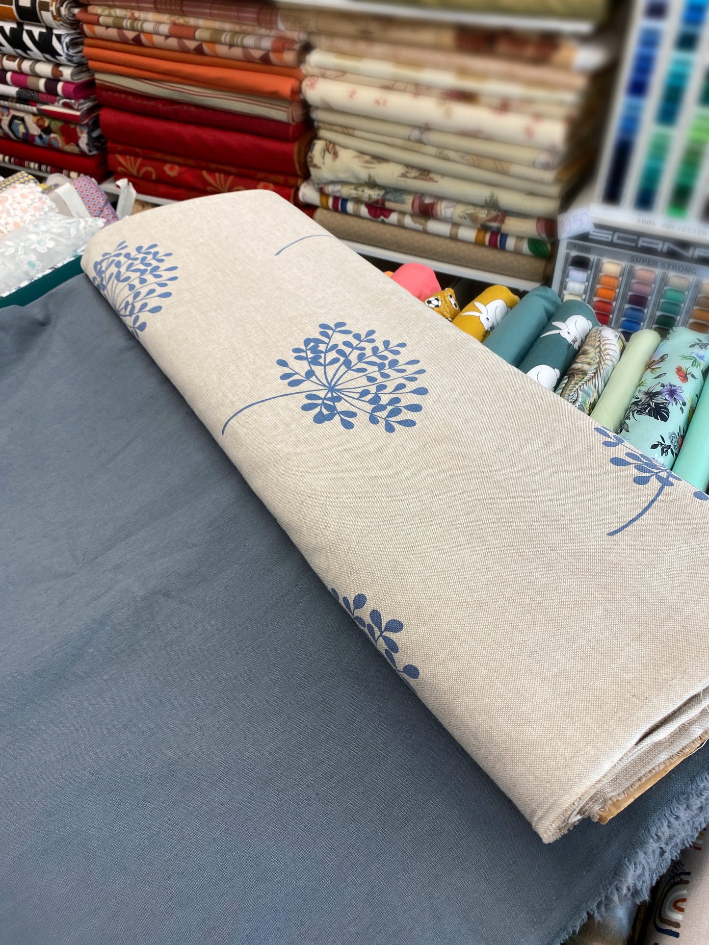 Vuohenputki, sininen, pellavasekoite