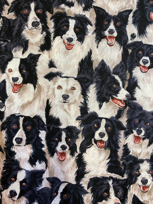 Bordercollielauma, puuvilla