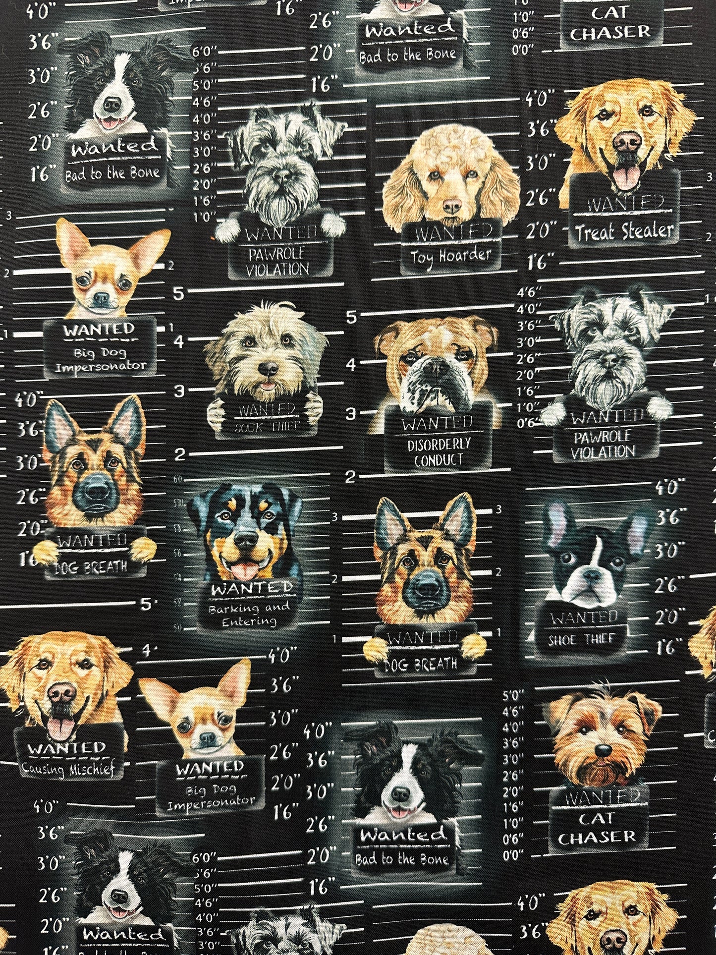 Bad to the Bone, puuvilla.