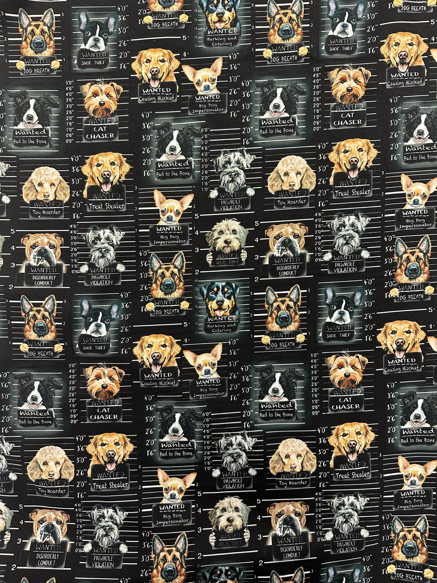 Bad to the Bone, puuvilla.