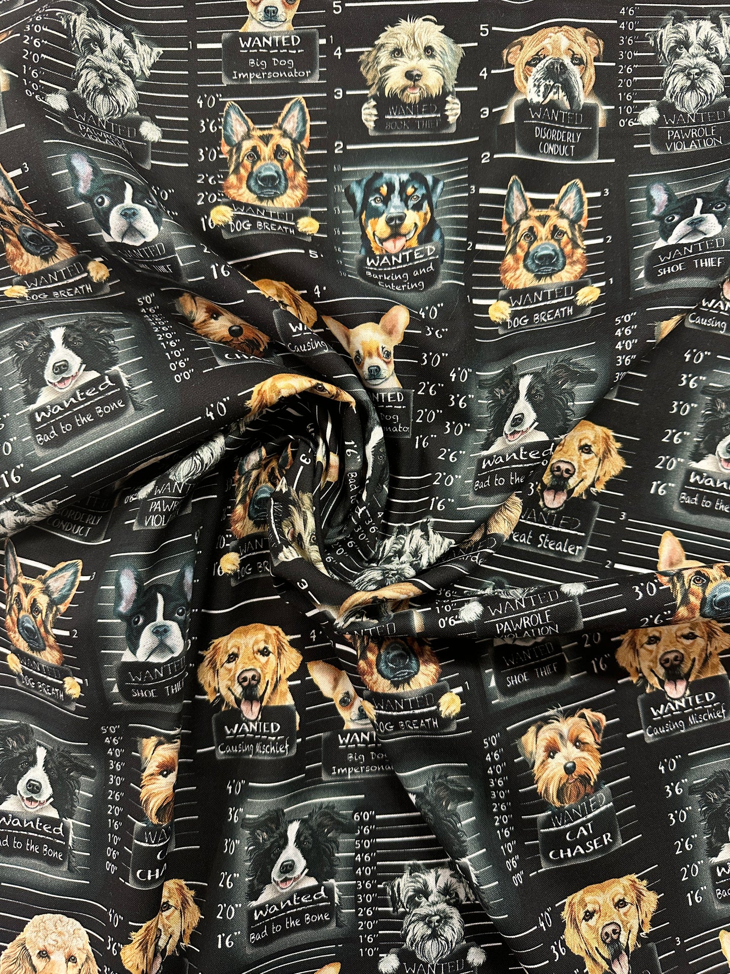 Bad to the Bone, puuvilla.