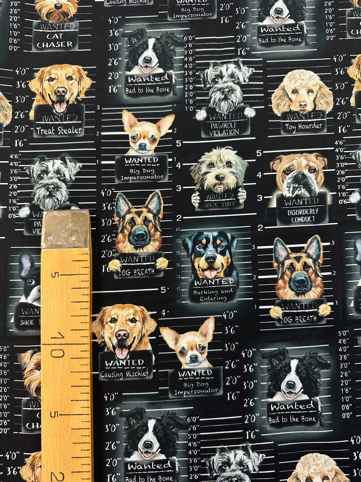 Bad to the Bone, puuvilla.