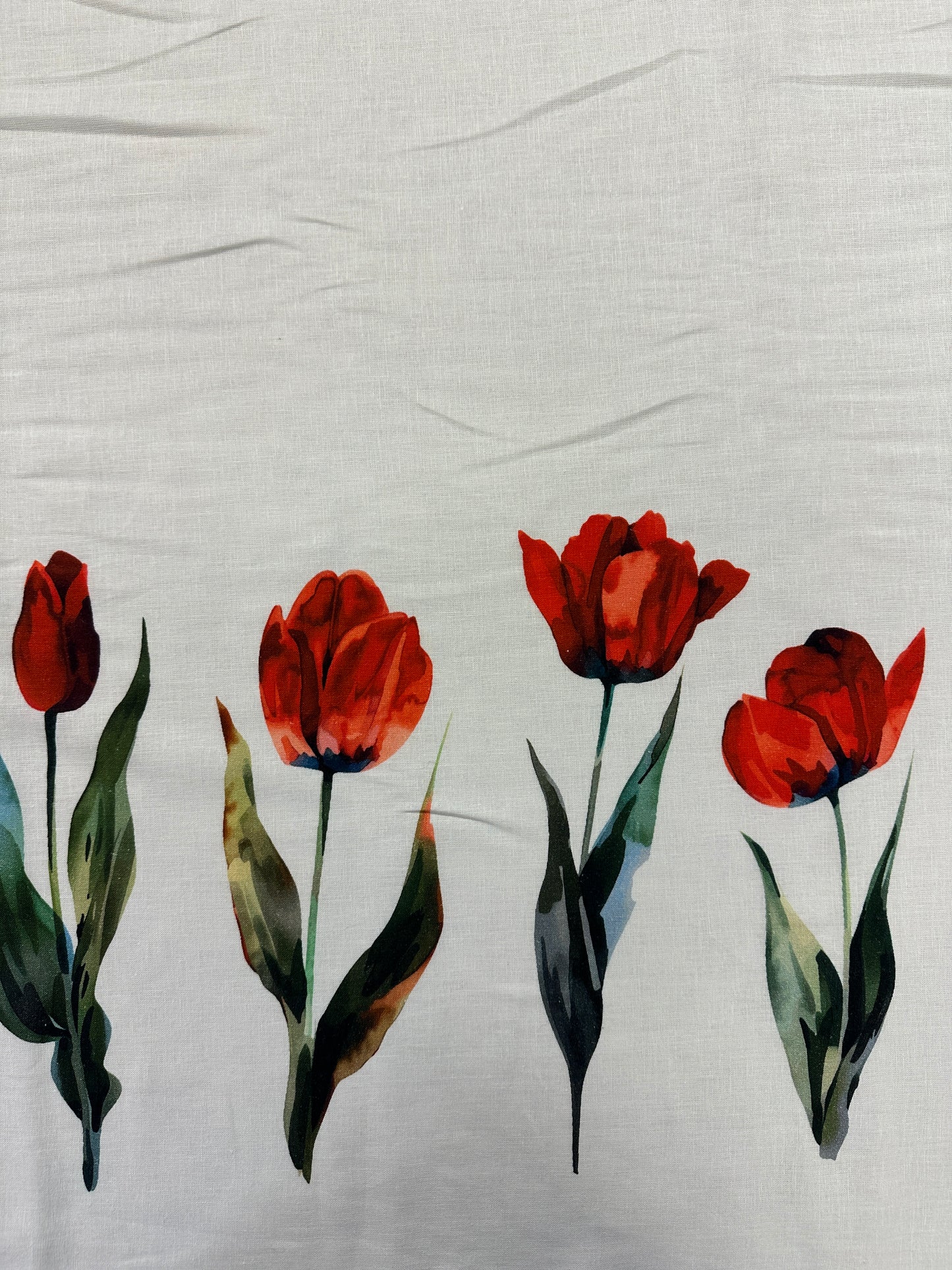 Tulips, pellava.