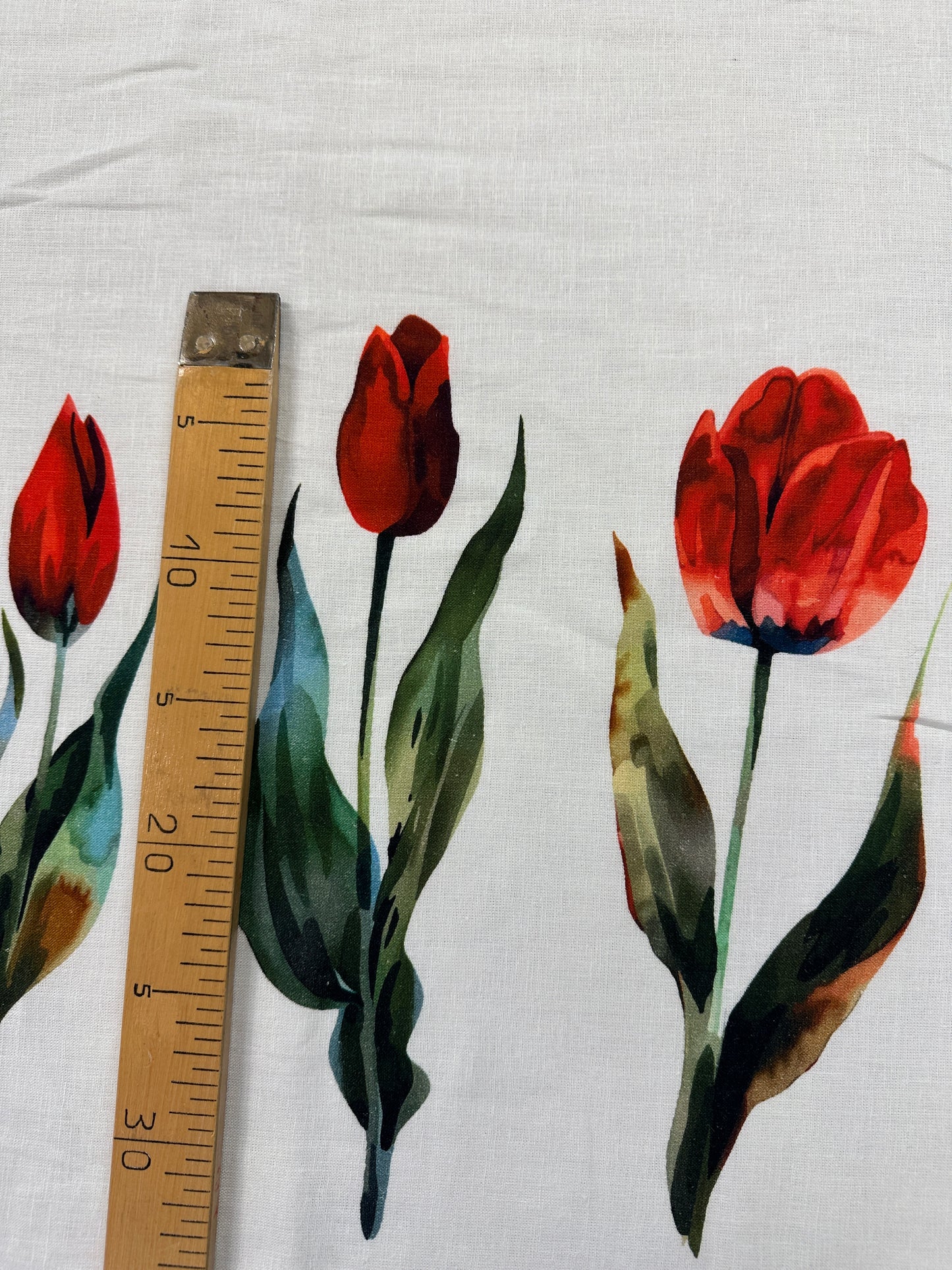 Tulips, pellava.