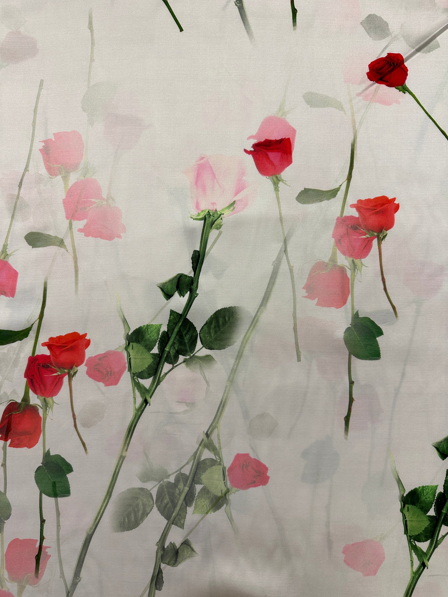 Antonio Marras, Rose Blanco, viskoosi.