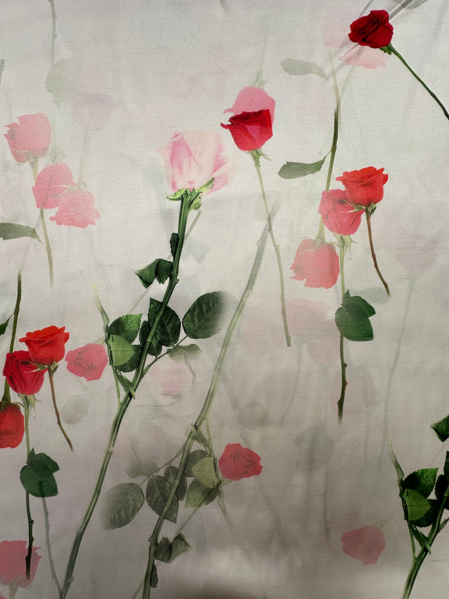 Antonio Marras, Rose Blanco, viskoosi.